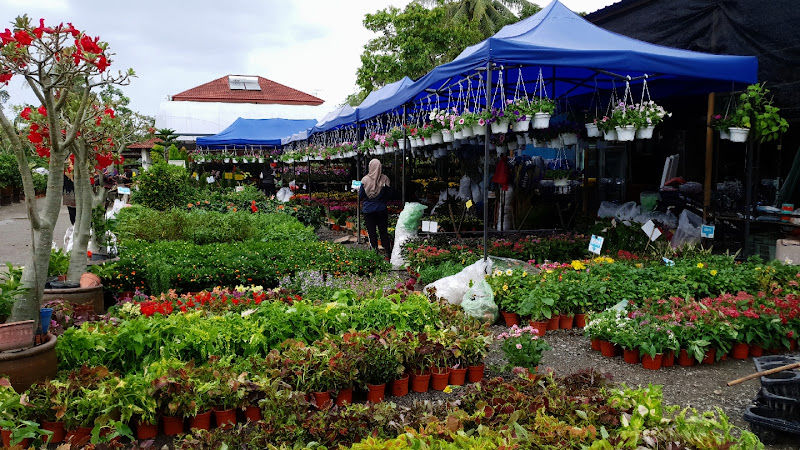 Gadek Nursery gallery