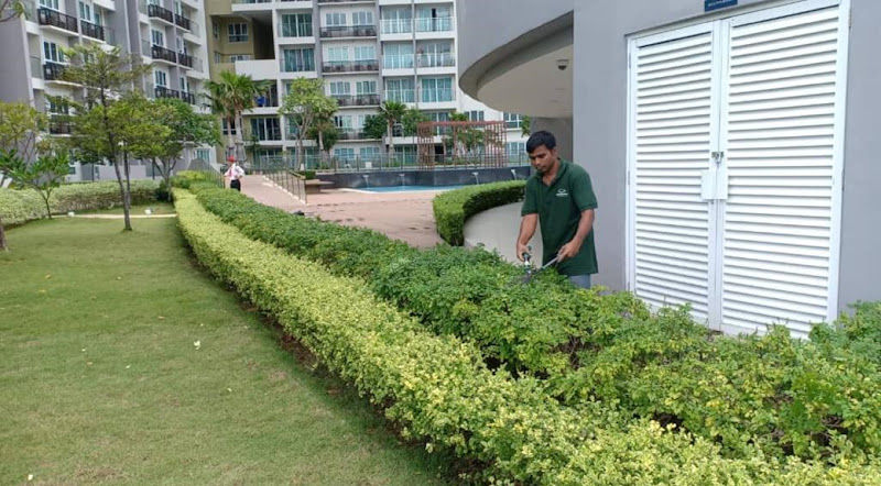 De Signature Landscape Maintenance gallery