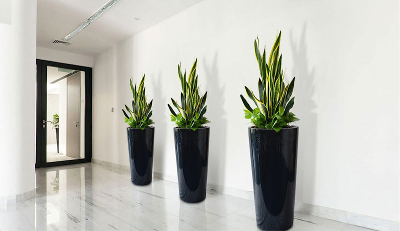 TreeScapes (M) Sdn Bhd gallery