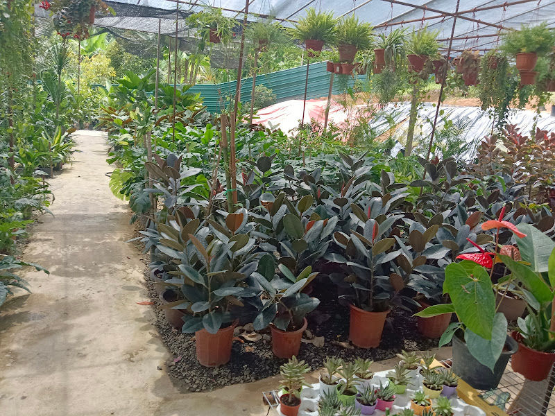 JA Nursery & Landscape gallery