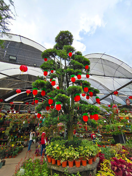 Paling Horticulture Sdn Bhd gallery