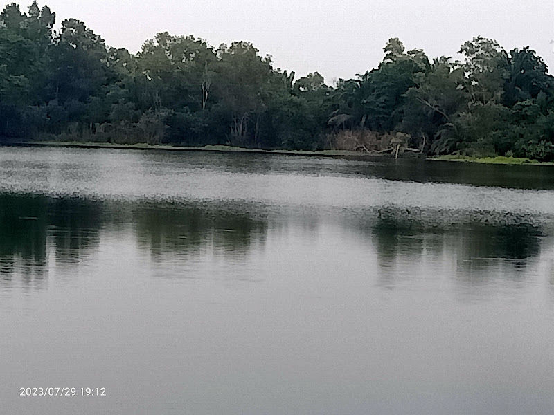 Perak Agro Nursery Sdn Bhd gallery