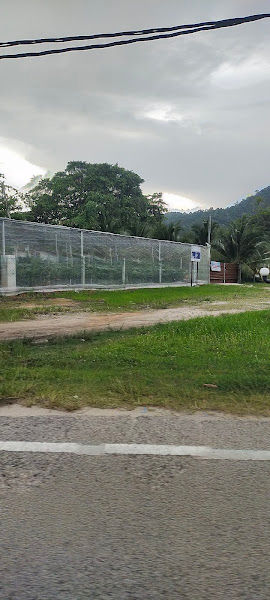Pembekal benih kelapa pandan ( Lumut, Perak ) gallery
