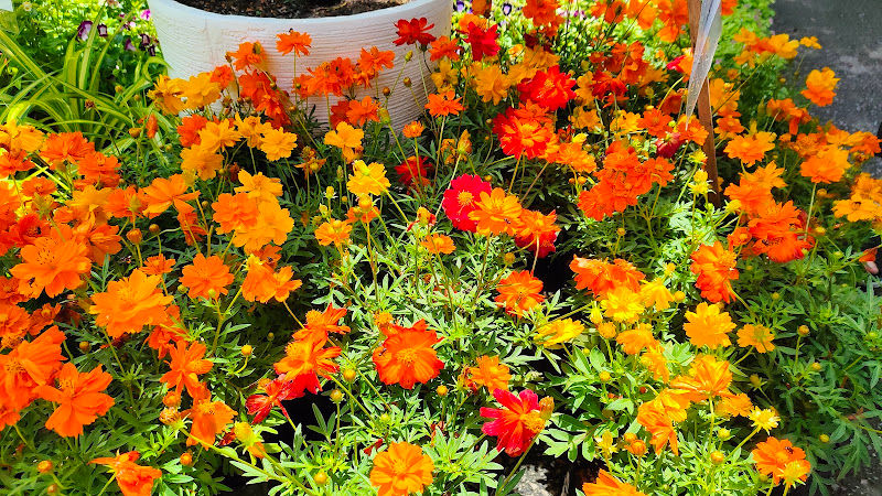 Happy Sweet Garden Seremban 2