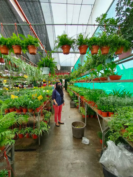Paling Horticulture Sdn Bhd gallery