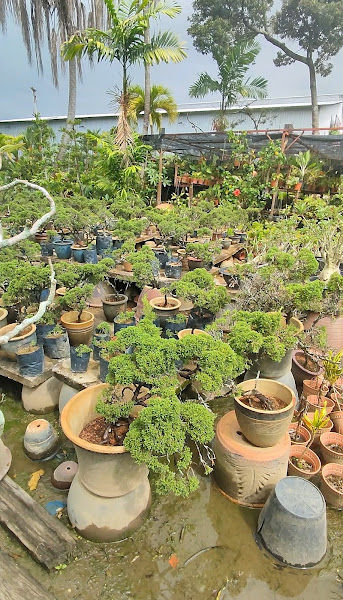 Taman Sungai Perak gallery