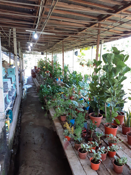 MANTIN Nursery & Landscape