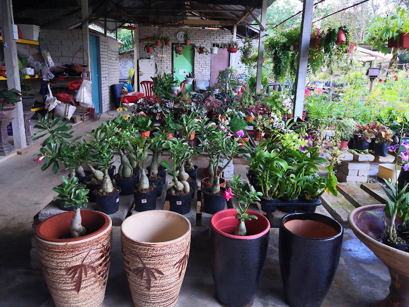 Nursery Senah Kelinik gallery