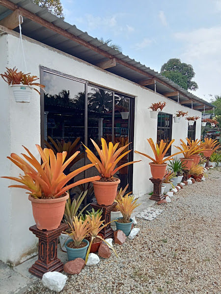 Nursery Manje Garden gallery