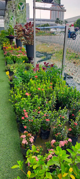 YY Landscaping Sdn Bhd (Bangi) gallery