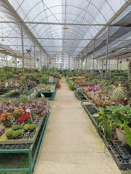 KOTI Nursery @ Eco Ardence, Setia Alam, Shah Alam gallery