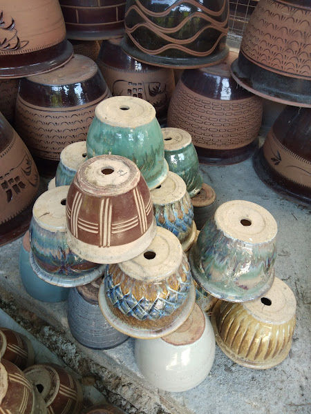 MZ Garden Nursery gallery