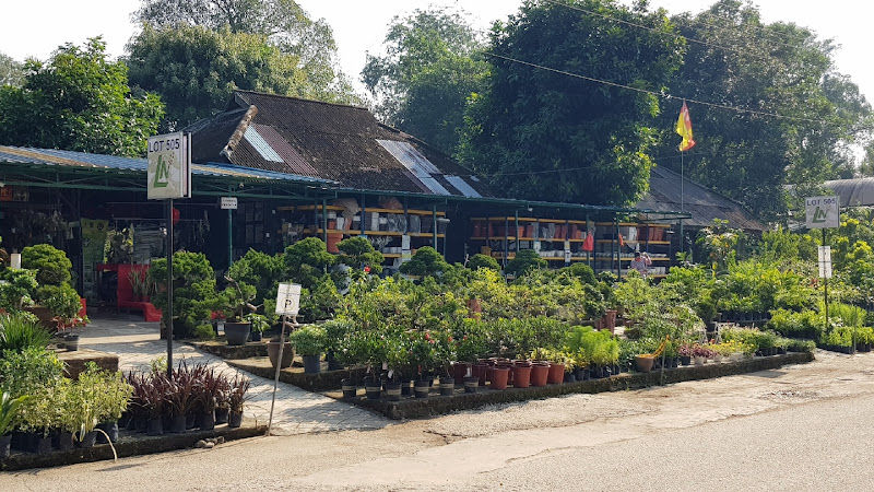 Leong Nursery