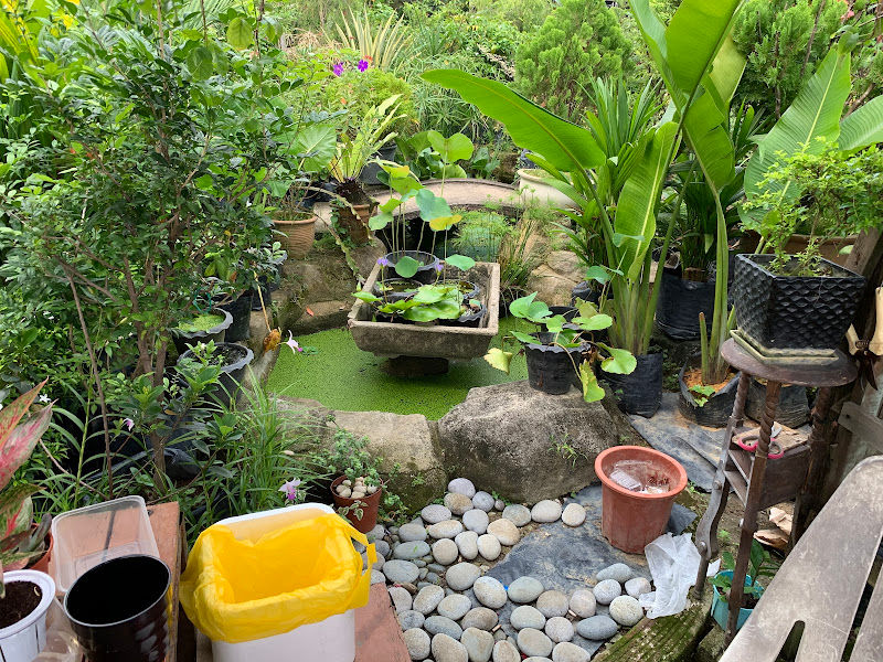 FHL Go Smile Plant Nursery gallery