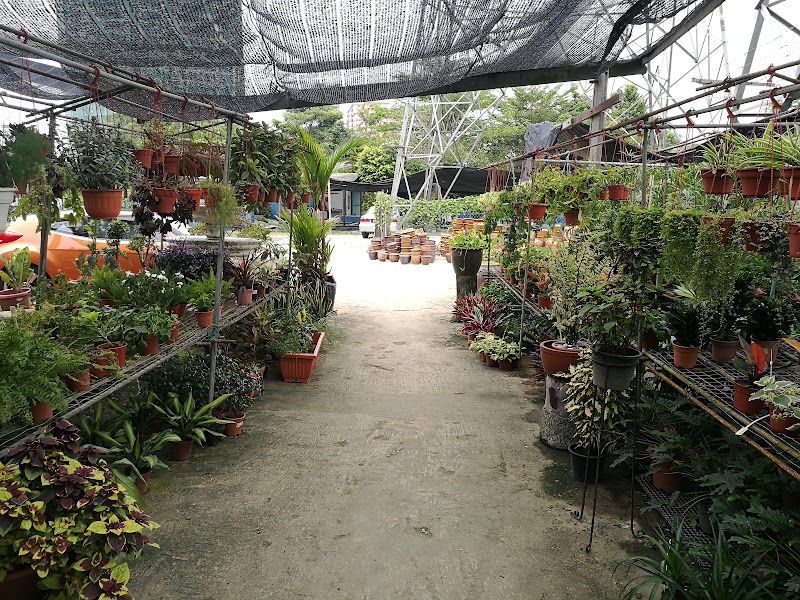 Peace Garden & Hobbyest Centre Sdn Bhd