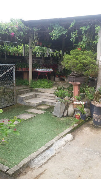 Kohortica Nursery gallery