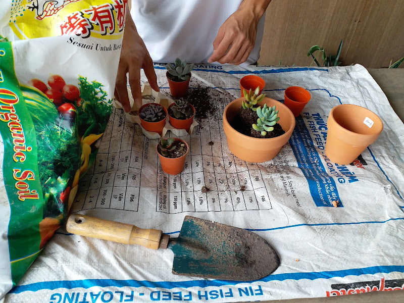 Green Land Nursery Enterprise gallery