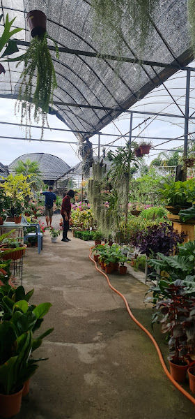 Palmgrove Nursery gallery