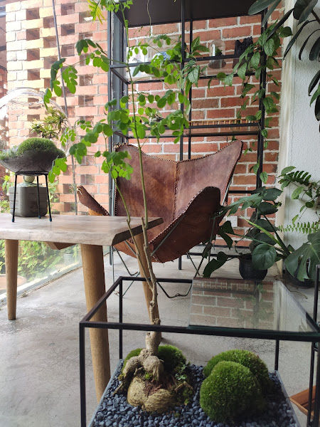 Moon Shop Gallery gallery