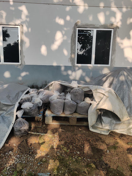 Nurseri Pokok Dusun Tua (Delivery Kuala Lumpur & Selangor) gallery