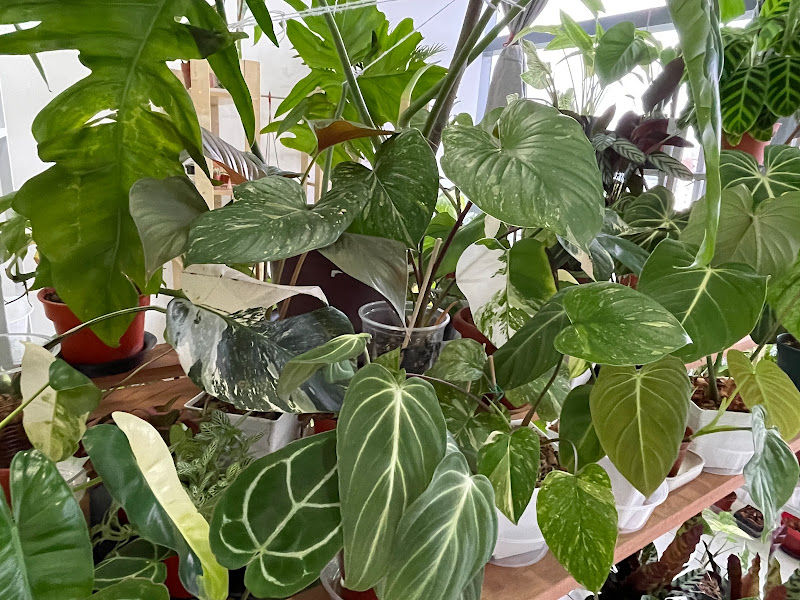 KL Green Garden Work Studio gallery