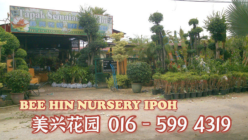BEE HIN NURSERY (美兴花园)