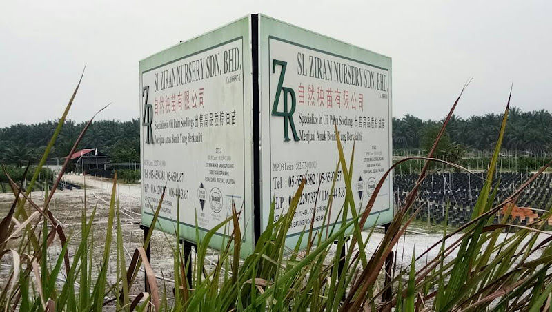 SL Ziran Nursery Sdn. Bhd. gallery