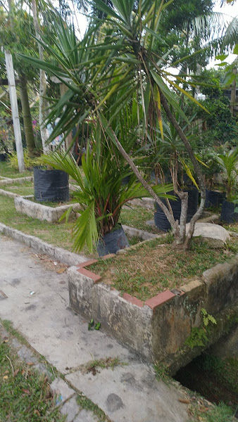 Garden Center Nursery gallery