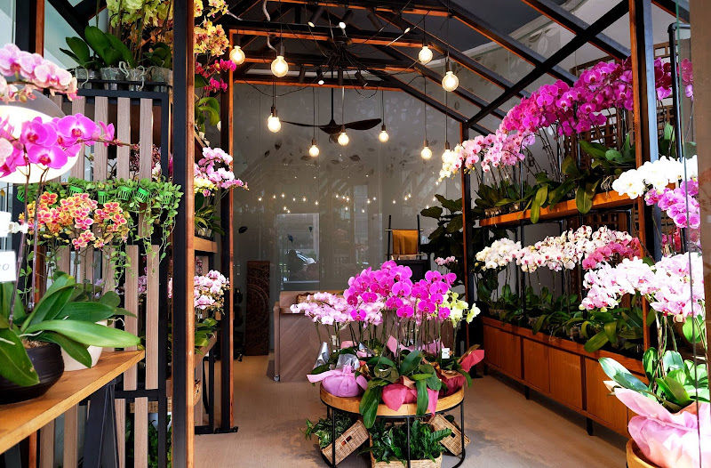 Orchid Culture The Gardens Mall gallery