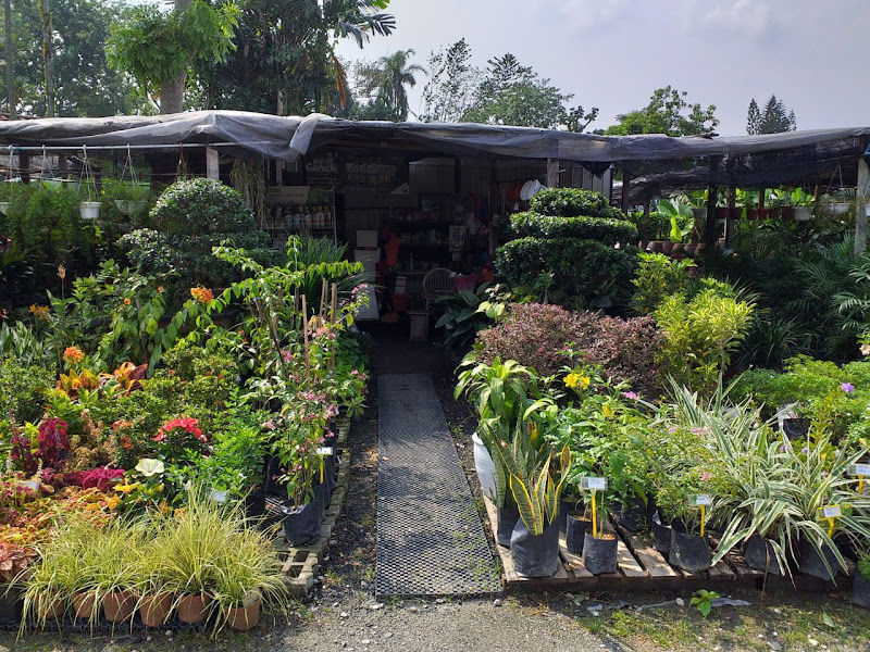 Rimbun Anggun Enterprise