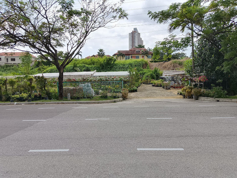 Euphoria Nursery & Trading gallery