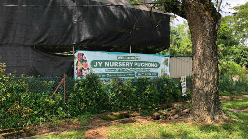 JY Nursery Puchong & Landscaping Service/蒲种花圃与园艺中心 /Kedai Bunga dan Landskap Puchong JY gallery