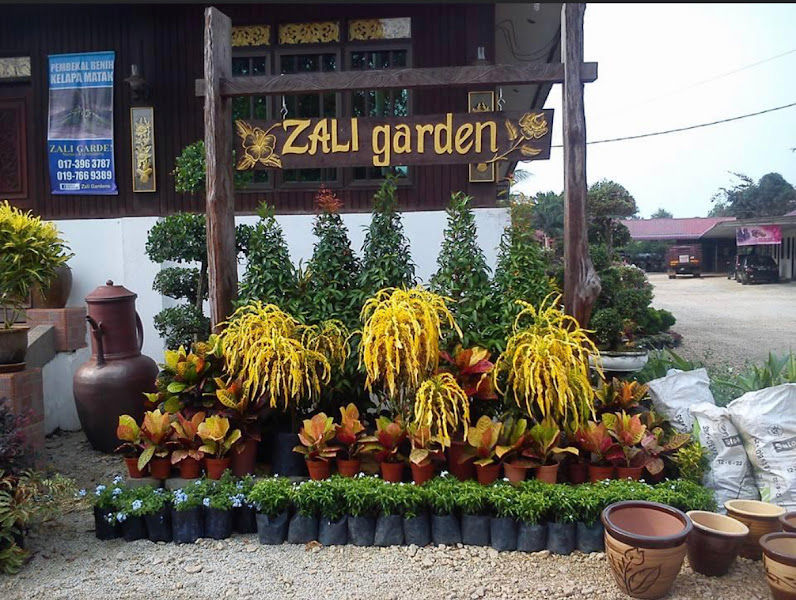 Zali Garden & Nursery gallery