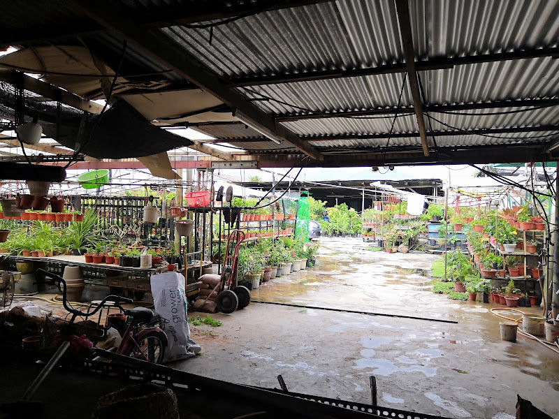 Porcelain Floral Centre