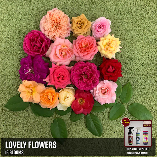 Rebung Garden gallery