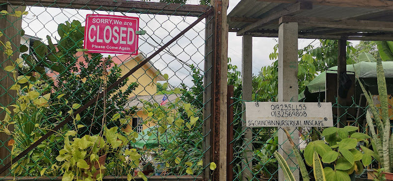 Sg Chinchin Nursury & Landscape gallery