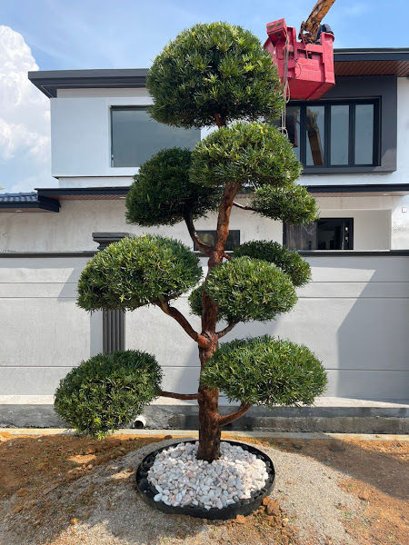 How Yee Landscape Builder gallery