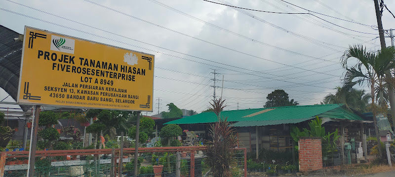 Fiveroses Enterprise gallery