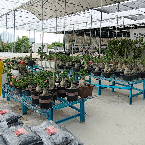 Garden Stand & Nursery Puchong gallery