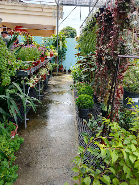 Garden Plus Enterprise gallery