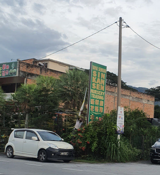 Tapak Semaian Sin Kan Sen - Nursery Trading