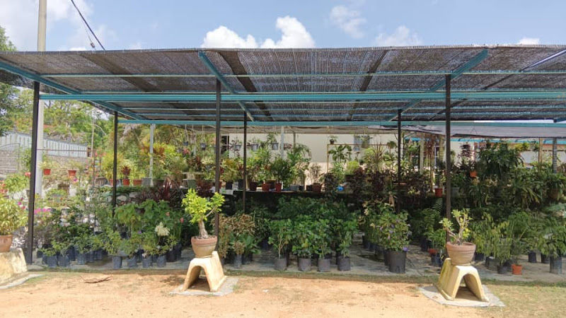 MZ Garden Nursery gallery