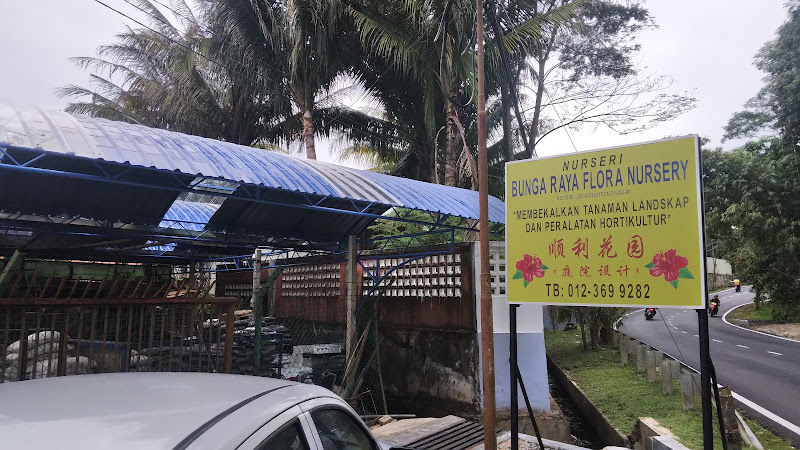 BUNGA RAYA NURSERY gallery
