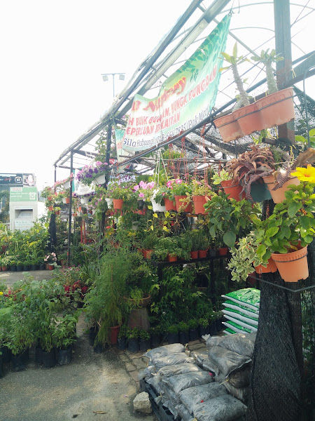 Pak Mat One-stop Garden Centre no 2 gallery