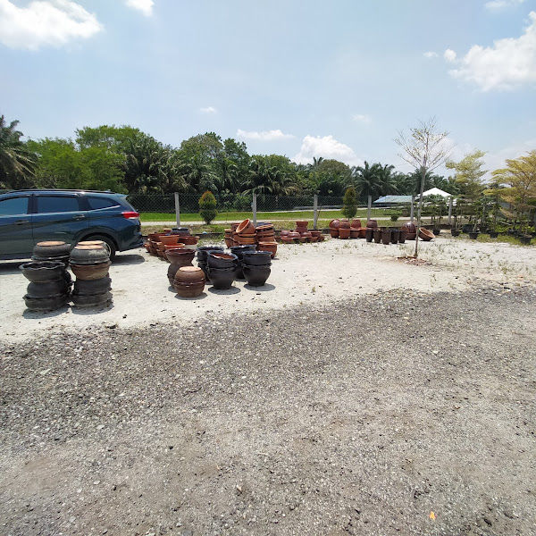 Forest Art Trading gallery