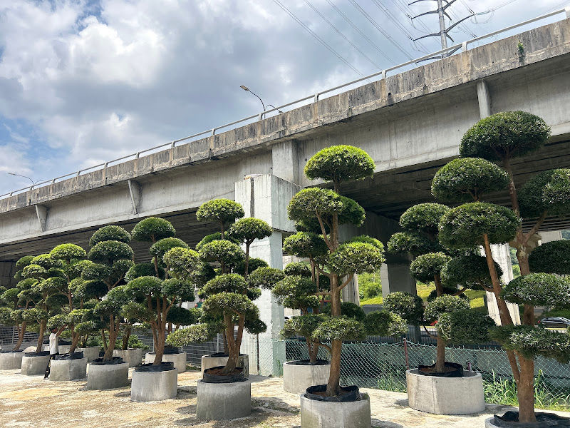 Plantasion Sdn. Bhd. gallery