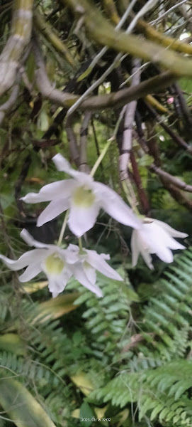 KAMA NURSERY CENTRE gallery