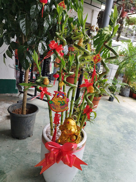 Samco Garden gallery