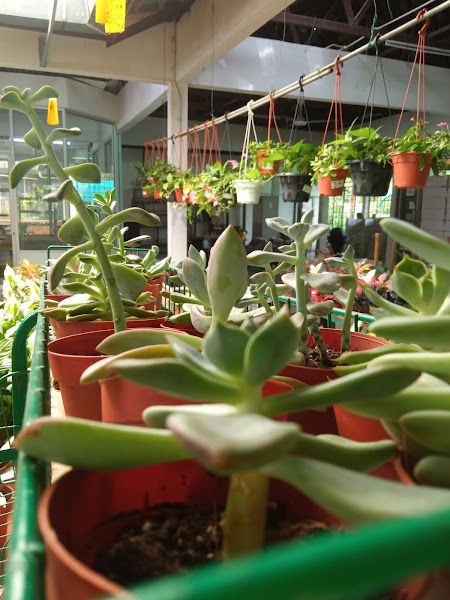 Nilai Landscape Sdn. Bhd.