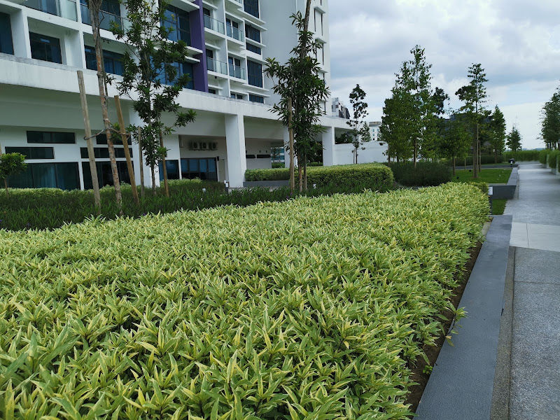 Ecogarden Landscape Sdn Bhd gallery